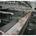 poultry processing line of belt conveyor